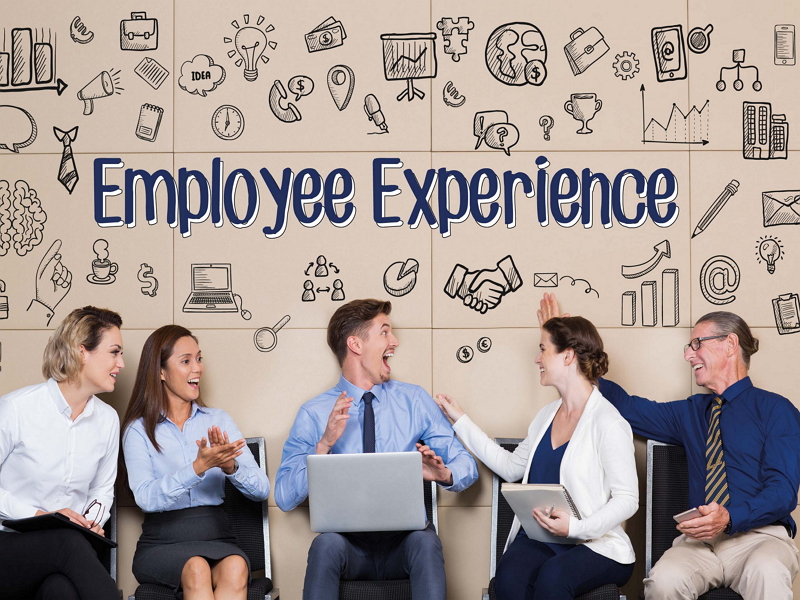 Làm thế nào để quản lý và cải thiện trải nghiệm nhân viên?

