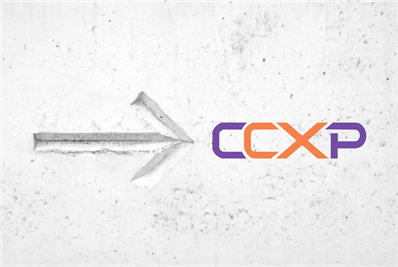 Quy trình đăng ký và ứng tuyển chứng nhận CCXP